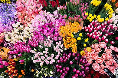 这味对了！《星刃》日语配音宣传片公布